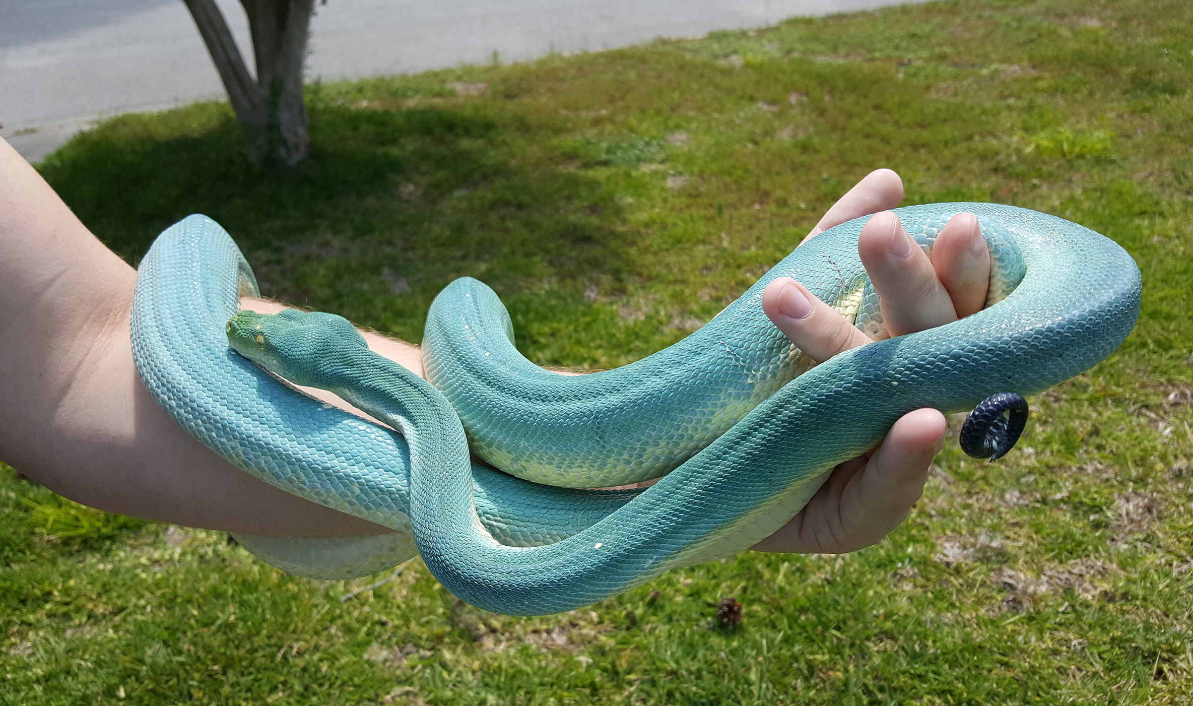 Jessie, pretty in blue