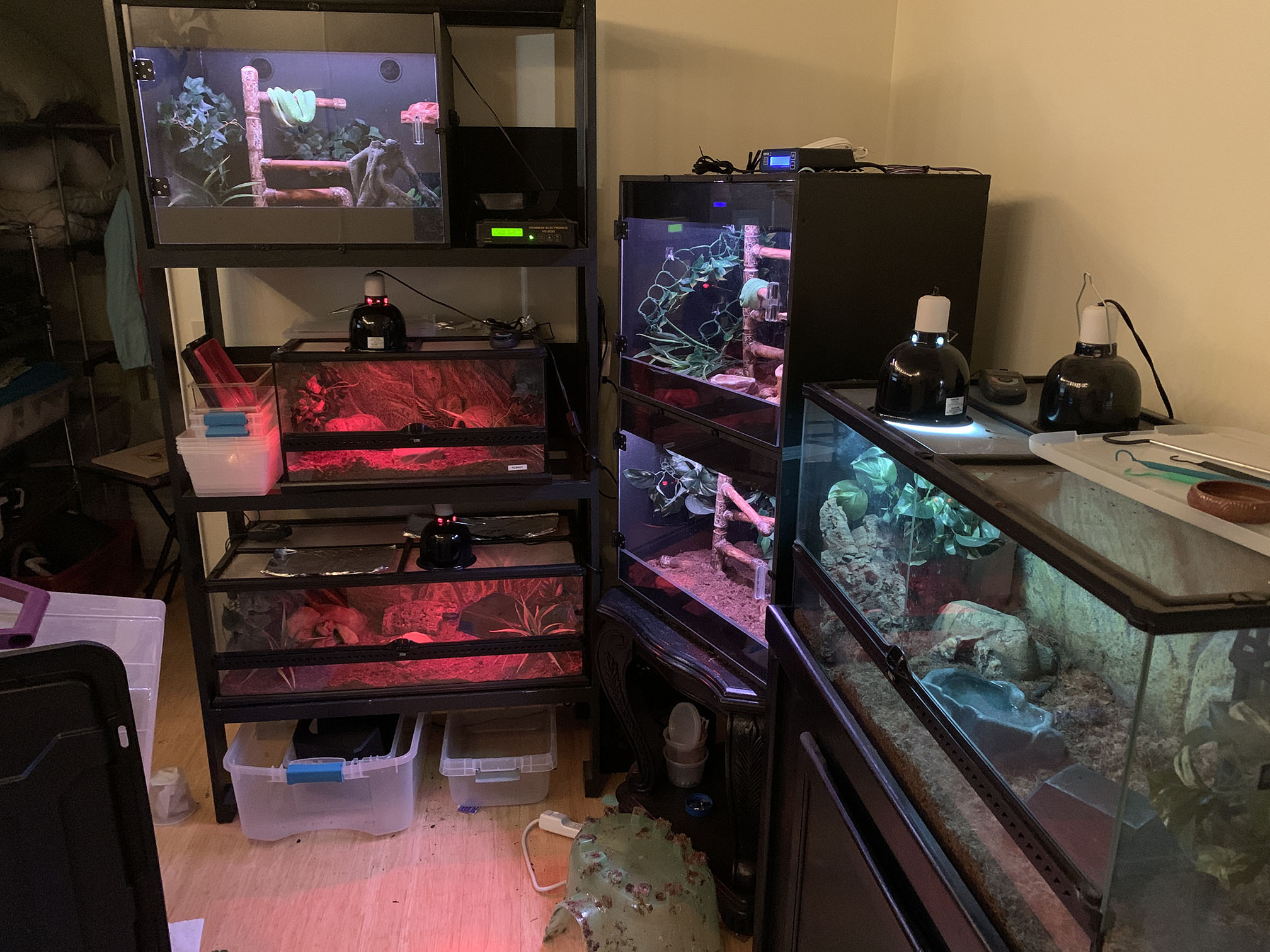 Dinosaur Room