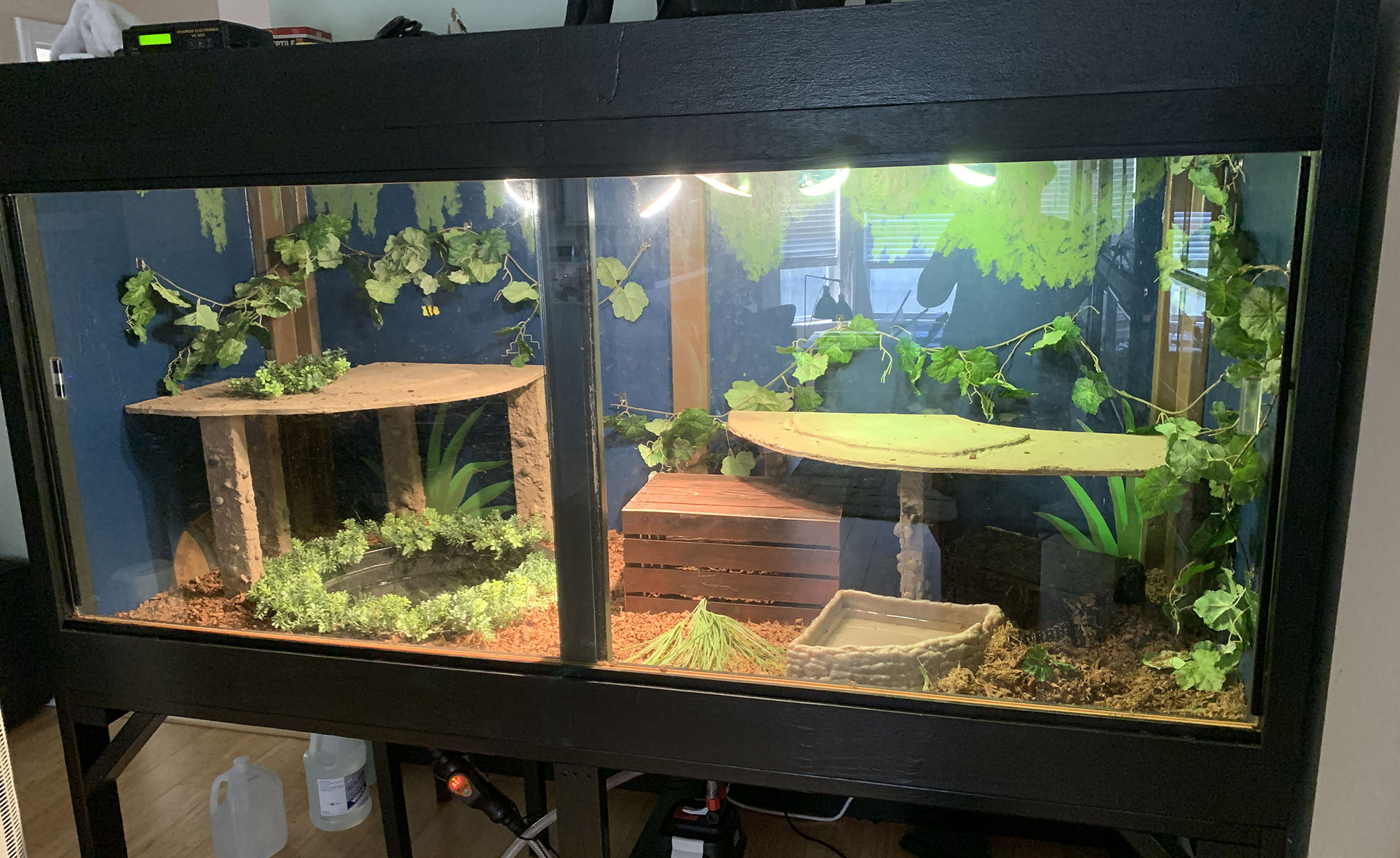 Falafel's enclosure