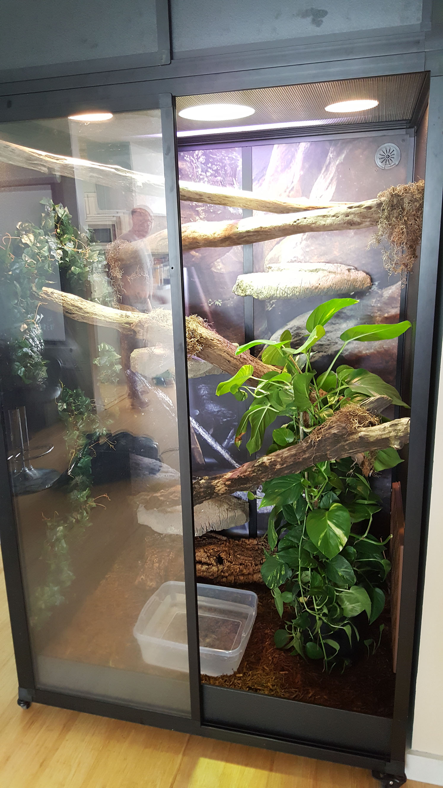 Falafel's tall enclosure