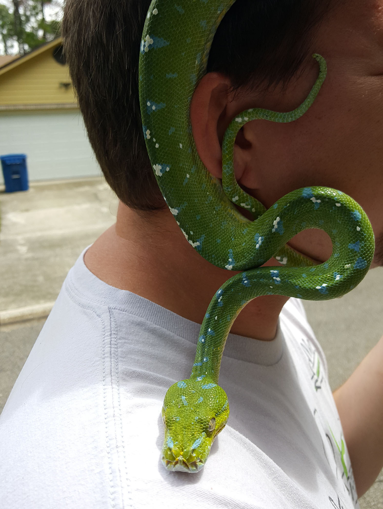 Mac, the earring