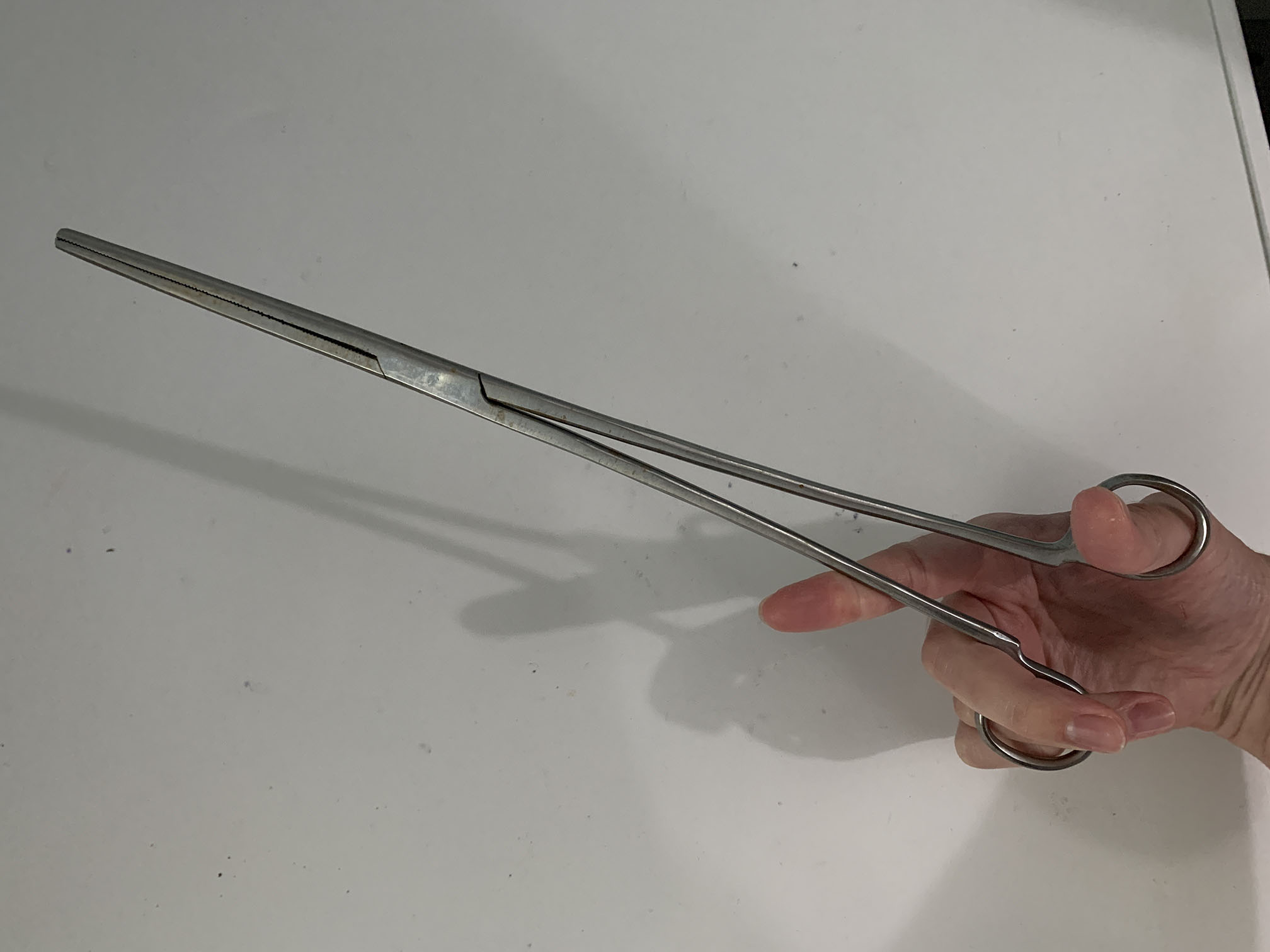 Feeding Tongs