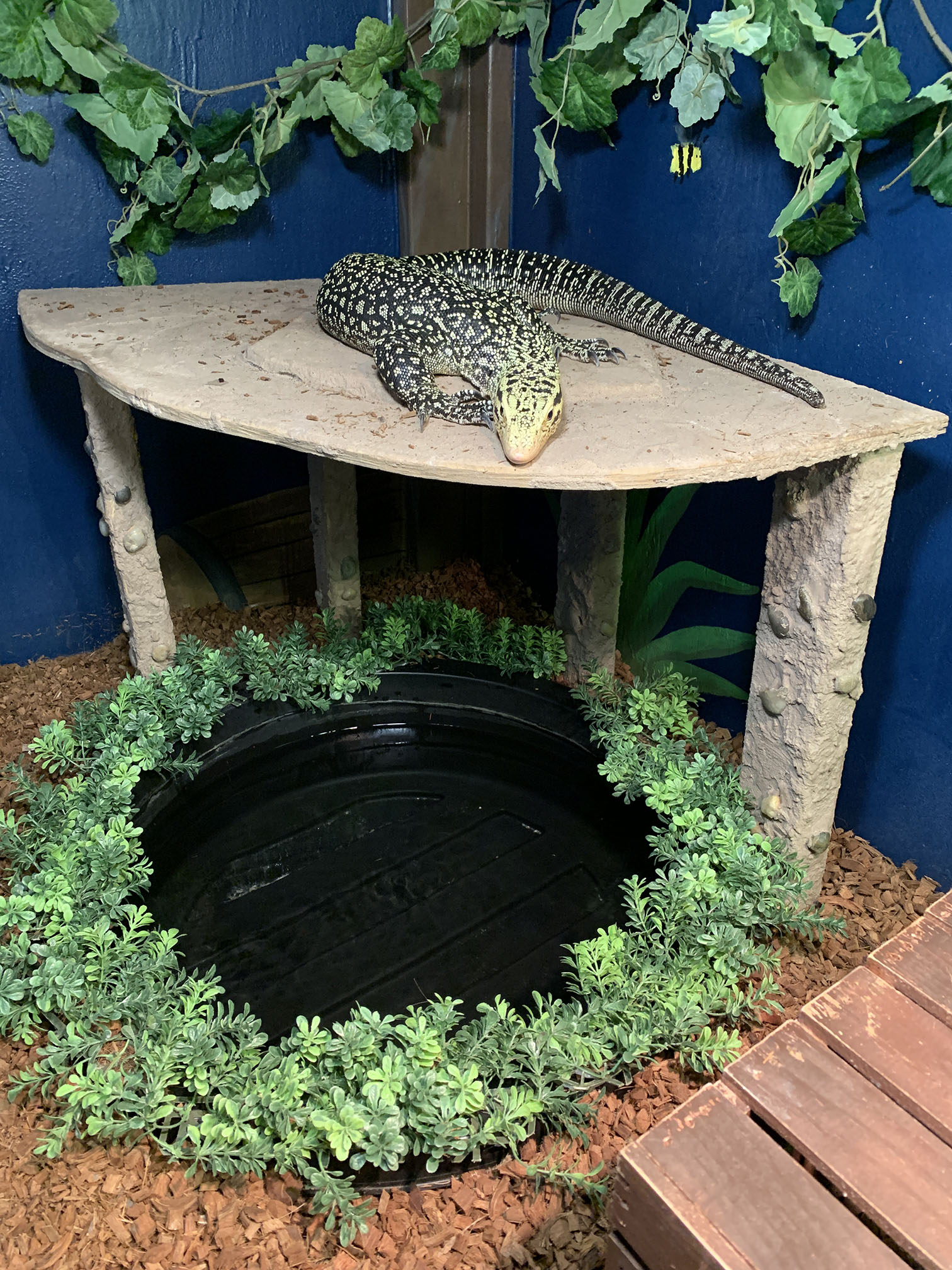 WafflePond