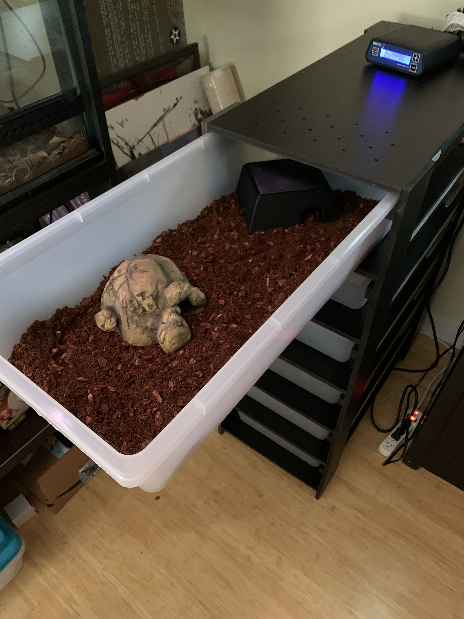 Baby substrate