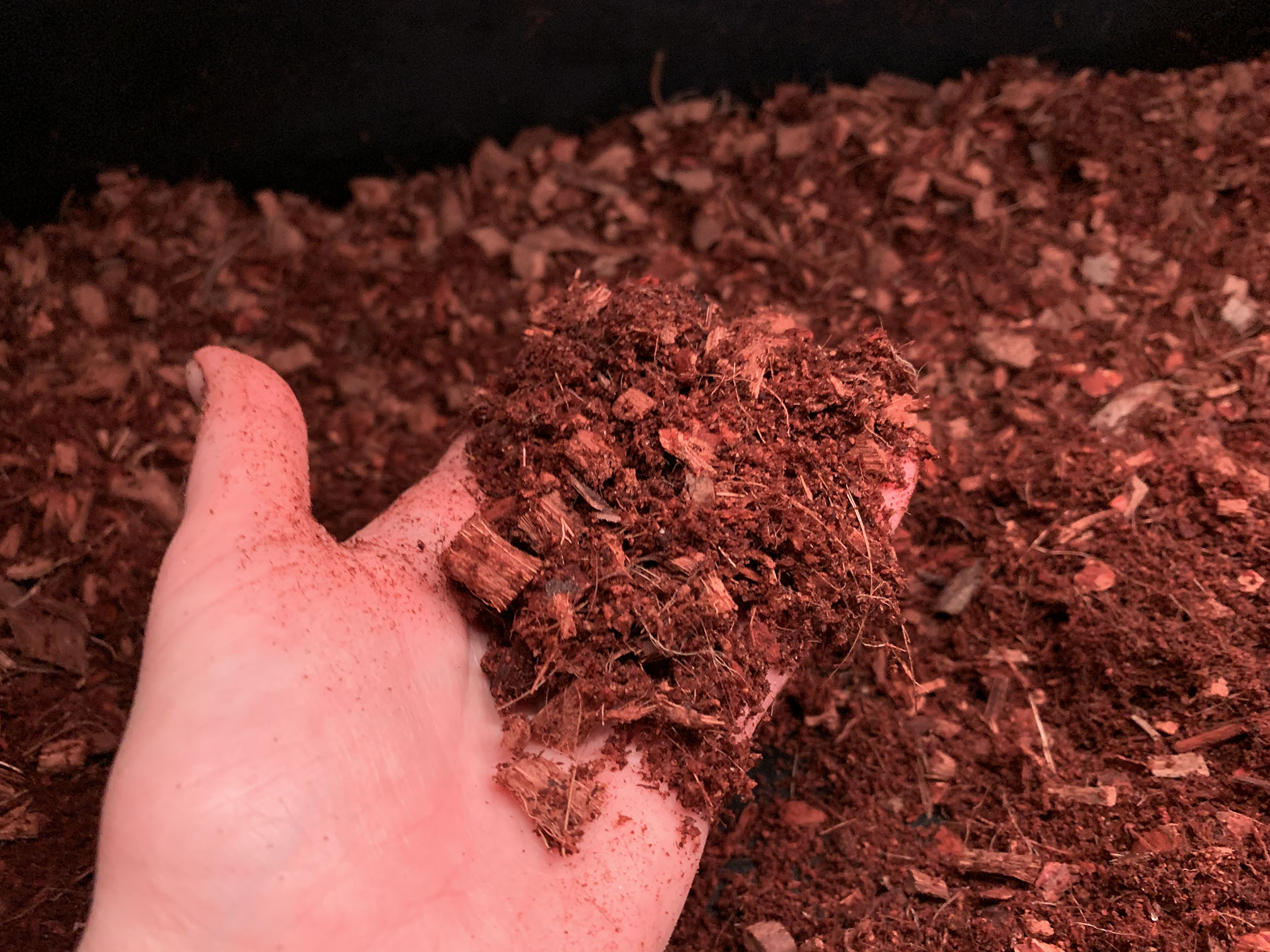 Reptichip and EcoEarth