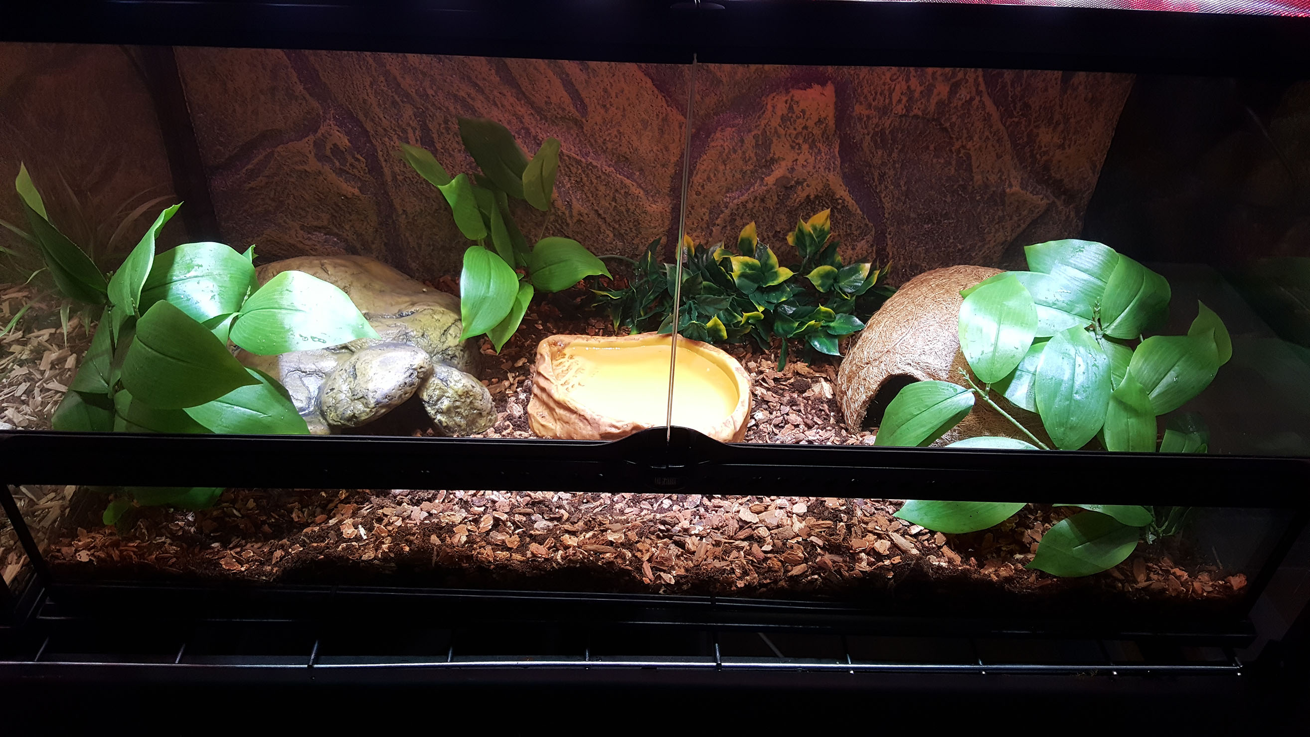 Getting Started: Equipment | Long Tail Reptiles